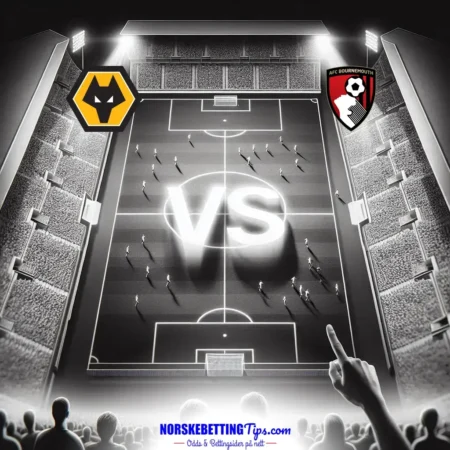 Wolves mot Bournemouth 2024-11-30 oddstips og analyse