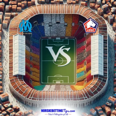 Marseille mot Lille 14-12-2024 oddstips og analyse