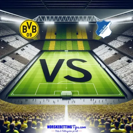 Borussia Dortmund mot 1899 Hoffenheim 15-12-2024 oddstips og analyse