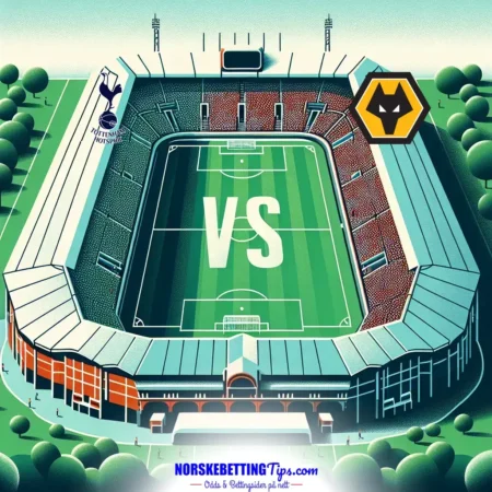 Tottenham mot Wolves 2024-12-29 oddstips og analyse