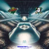 Minnesota Wild mot Anaheim Ducks 16-11-2025 oddstips og analyse