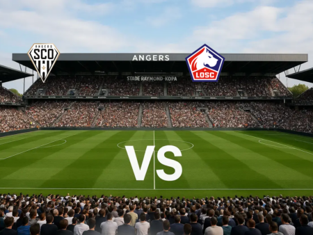 Angers mot Lille 23-08-2026 oddstips og analyse